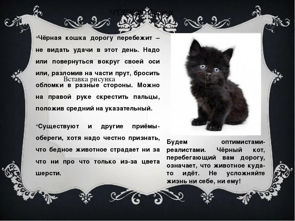 Черный кот предложение. Стихотворение про кошку. стих про черного котенка. стихи о котах. описание черного кота.