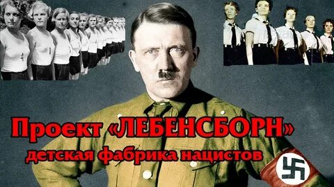 Без срока давности лебенсборн