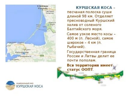 Расписание куршская коса