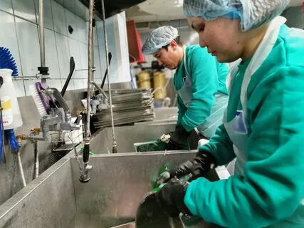 Работа мойщицы посуды в санкт петербурге