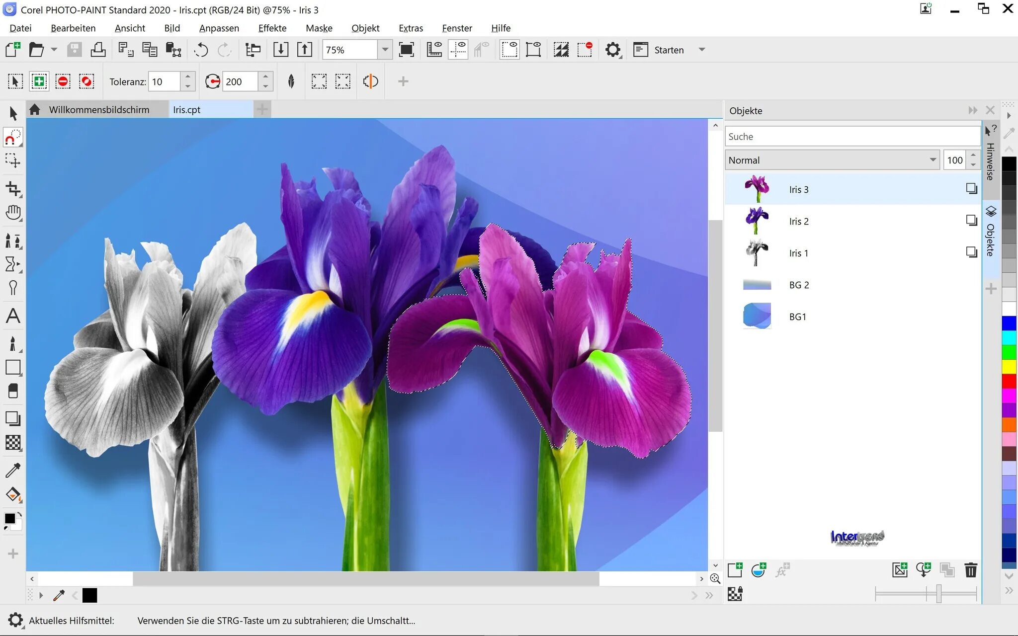 Coreldraw 25.0. Coreldraw Standard 2021. Интерфейс coreldraw 2020. Coreldraw картинки. Корел дизайн.