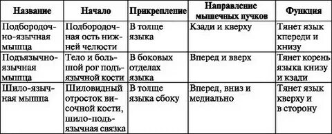 Разговорный стиль Русский язык без проблем