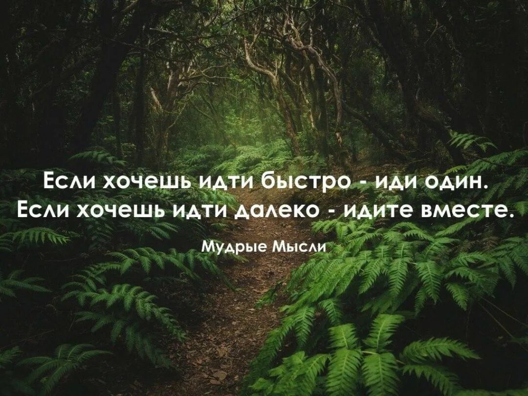 Хочешь идти быстро иди один. Если хочешь идти быстро иди один если. Если хочешь идти далеко. Хочешь идти быстро иди один хочешь идти далеко.