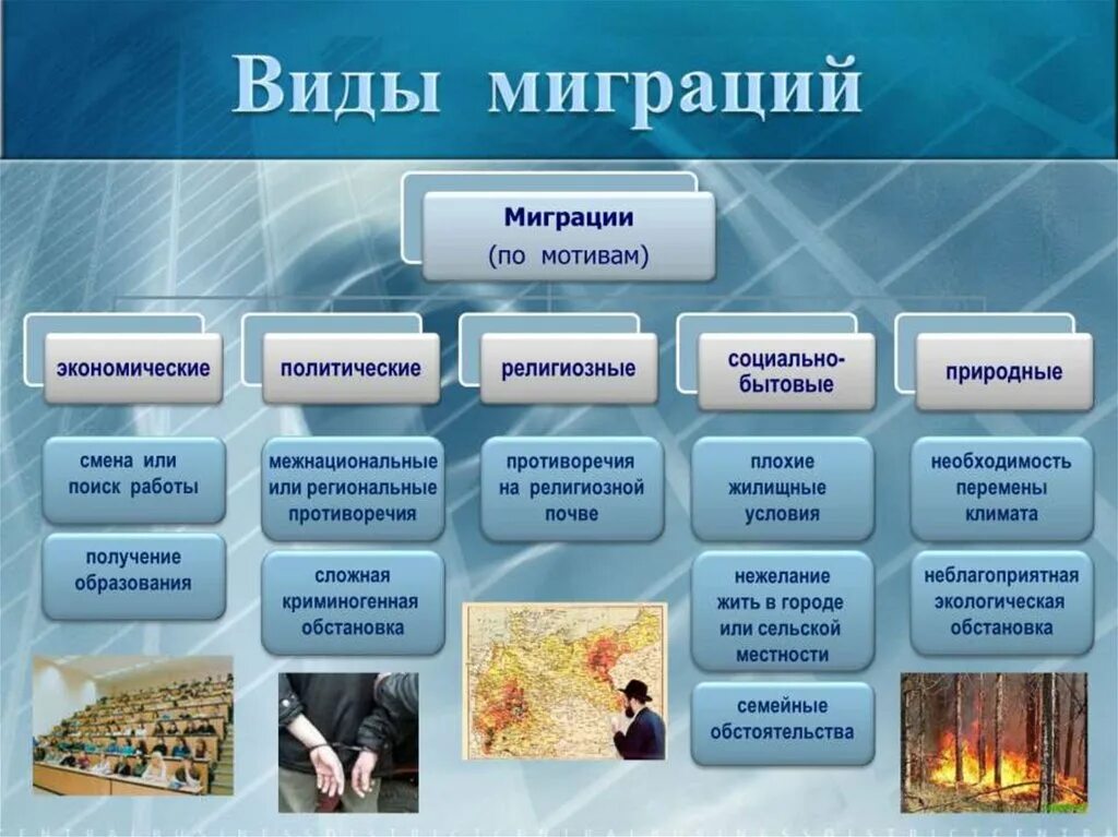 Виды миграции по направлению. Виды миграции. виды миграции населения. миграция презентация. типы миграции по мотивам.