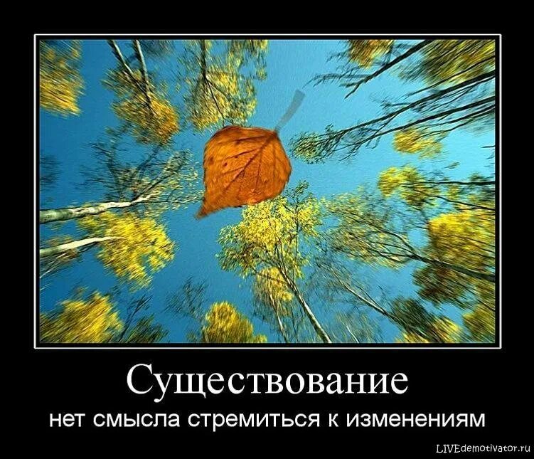 В них нет смысла. Смысла нет. нет смысла существования. нет смысла жизни. день поиска смысла жизни.