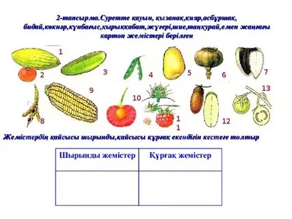 Колготкидегі анам порно