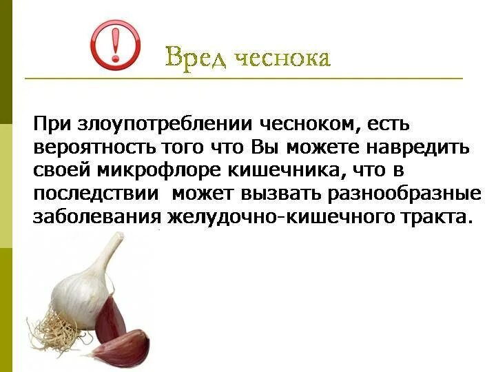 Чеснок натощак польза. Полезен чеснок для.организма. Чем полезен чеснок. Чеснок польза и вред для здоровья. Чеснок для организма человека.