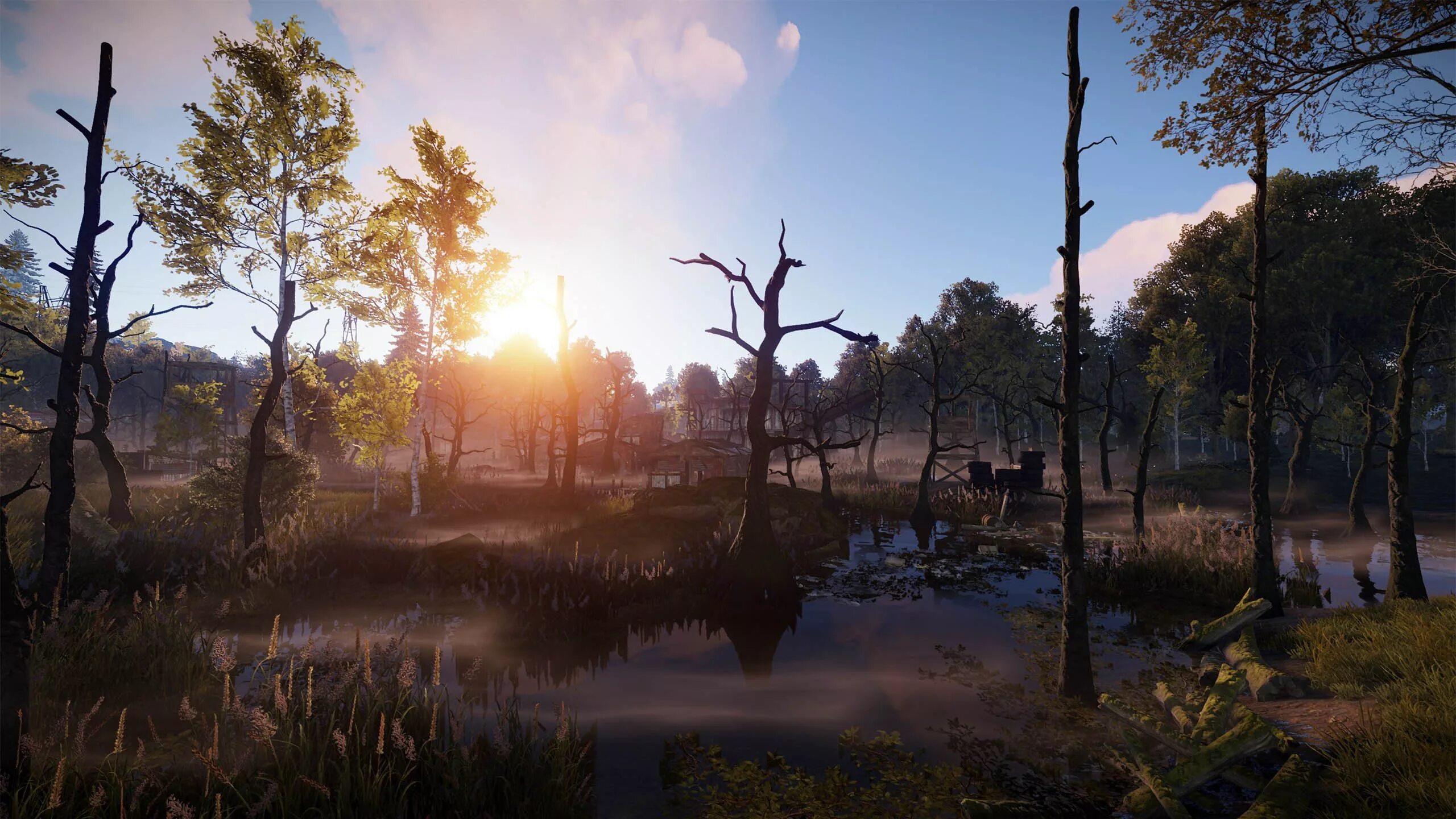 Swamp rust
