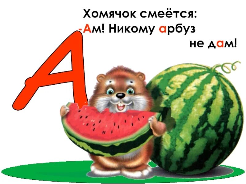 Хомяк ест клубнику. Хомяк кушает. Хомяк обжора. Запасливый хомяк. Хомяк ест арбуз.