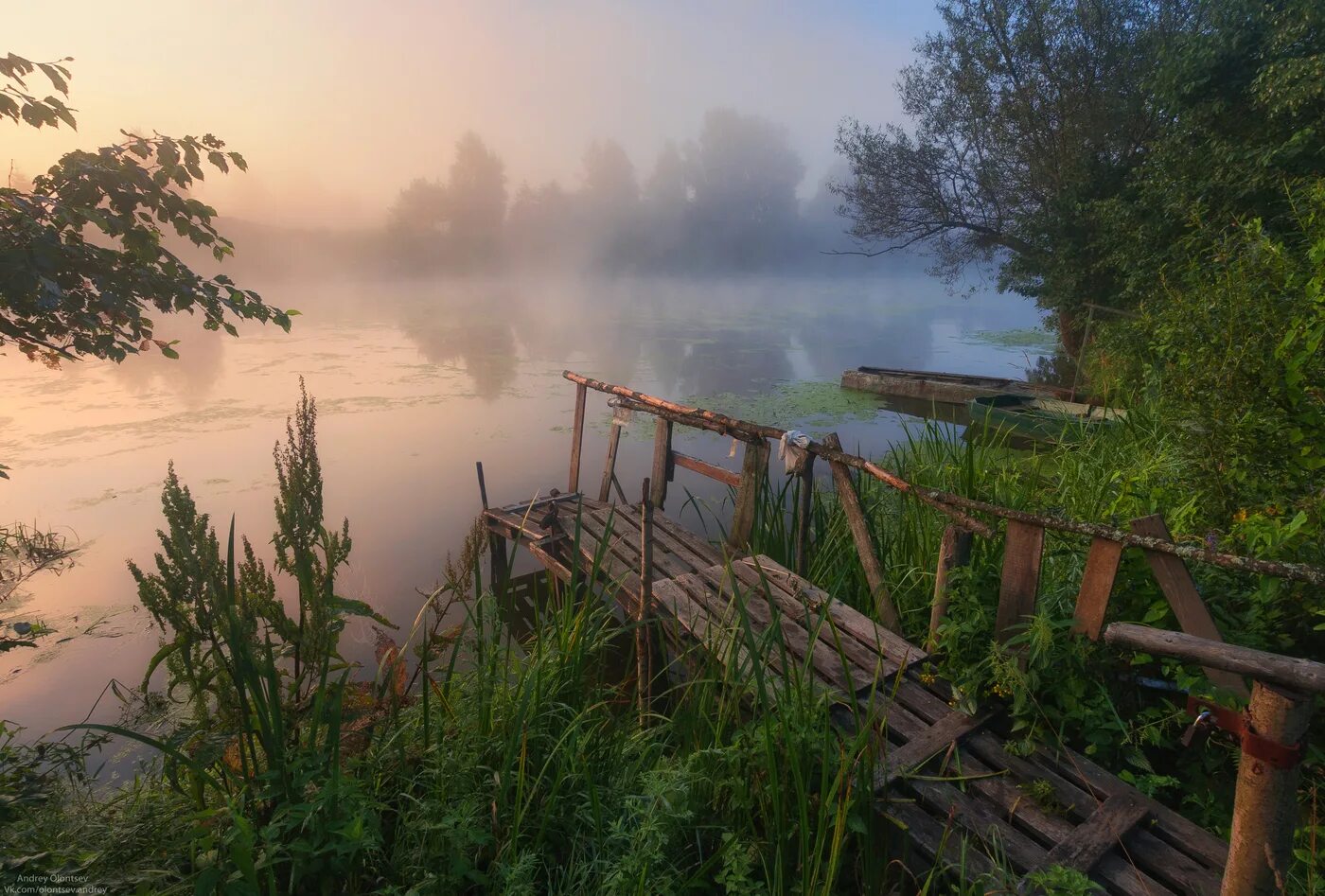 Дубна деревня Юркино. Елнать река. Летнее утро на озере