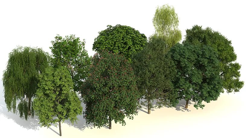 Дерево план фото Pin on Design Trees top view, Tree painting easy, Top view