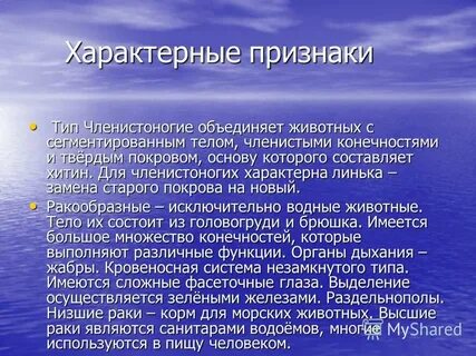 Общий систематический признак членистоногих