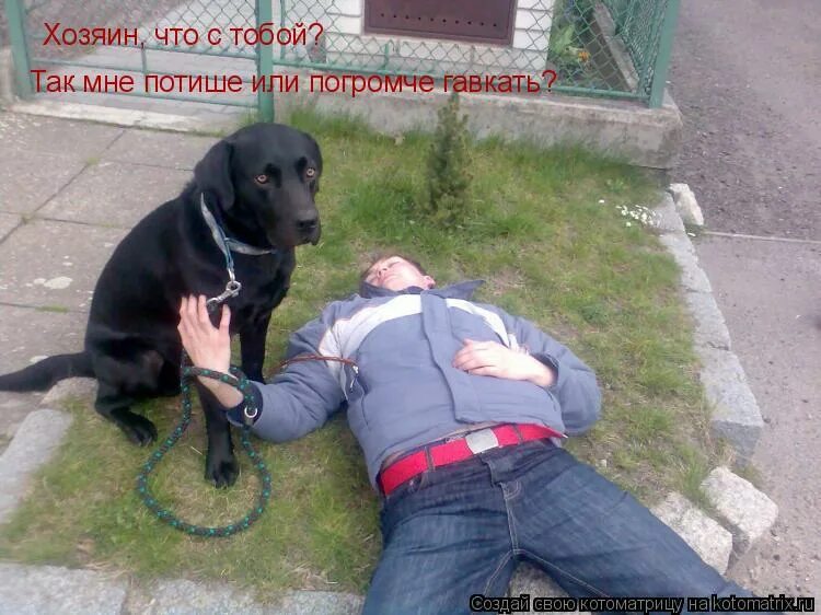 Пьяные хозяева. Пьяный за столом. Хозяин прикол. Пес ппс. Пьяные хозяева.