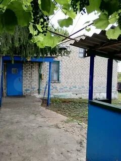 Авито кшенский