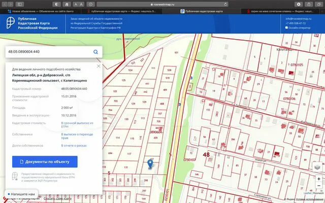 Публичная кадастровая карта липецкой области 2024. Село Капитанщино Липецкая область. Капитанщино Заречная ул Липецкая. Катра каластровая Добровский район. Публичная кадастровая карта Липецкой области 48.