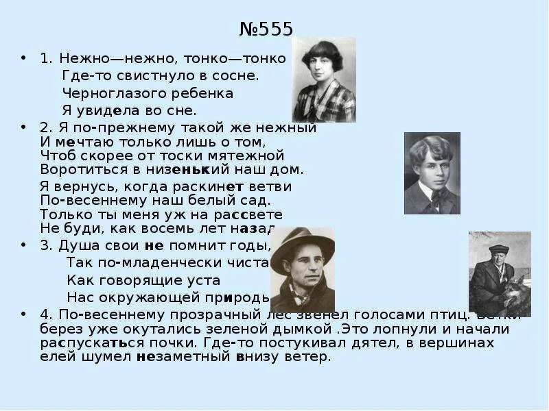 Цветы изящные и нежные. Нежно нежно тонко тонко где. Нежно нежно тонко тонко где. Стихотворение о нежности. Стихотворение нежность.