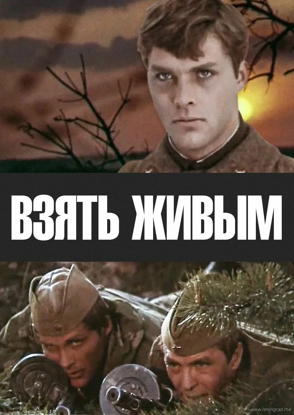 Карпов взять живым. Взять живым 1982.