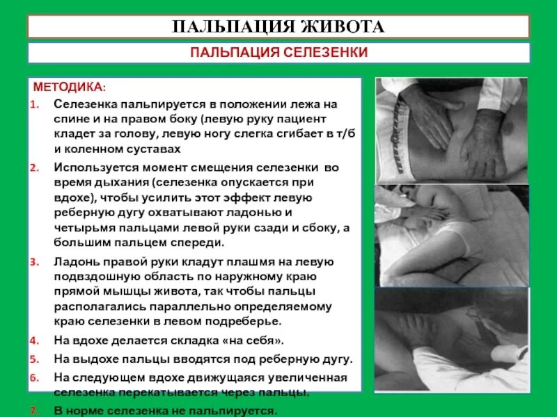 Пальпация живота. Глубокая пальпация живота пропедевтика внутренних болезней. Методы глубокой пальпации живота. Пальпация живота пропедевтика внутренних болезней. Методика поверхностной пальпации живота.