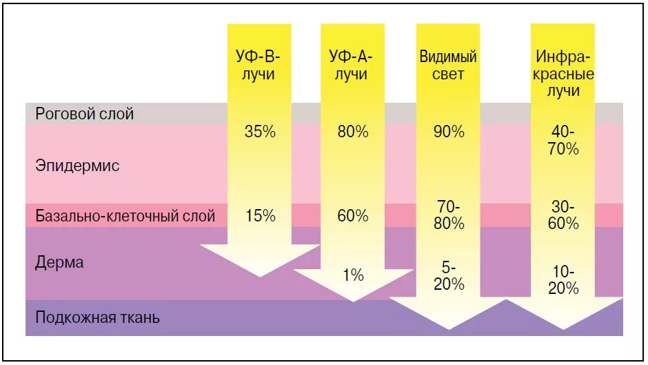 Глубина проникновения УФ лучей. Глубина проникновения ультрафиолетового излучения. Влияние УФ лучей на организм человека. УФ лучи. Спф при каком уф