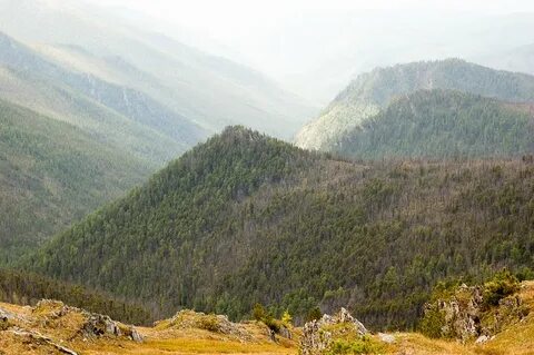 Кур куль