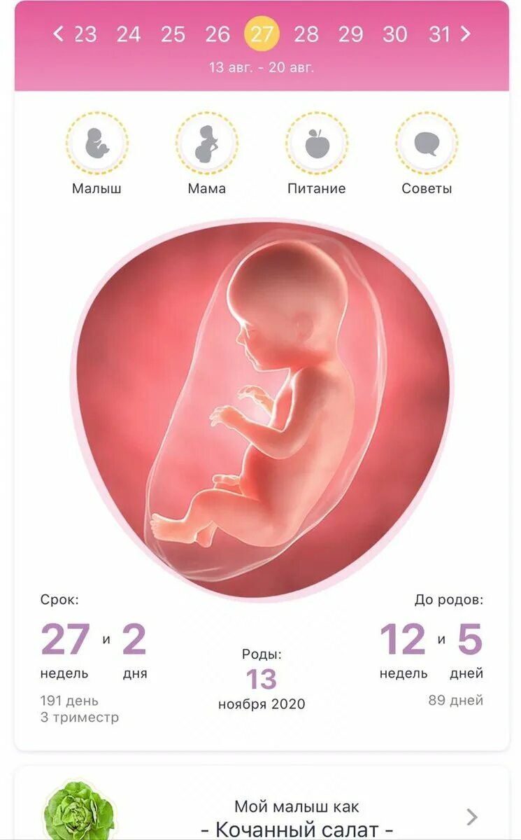 0 неделя. Вес плода в 26 недель беременности. вес плода по неделям 28 недель беременности. вес ребёнка в 27 недель беременности. размер плода на 27 неделе беременности.