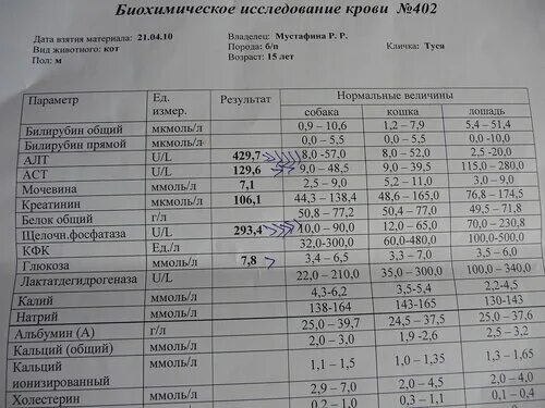 Норма биохимического анализа крови алт аст