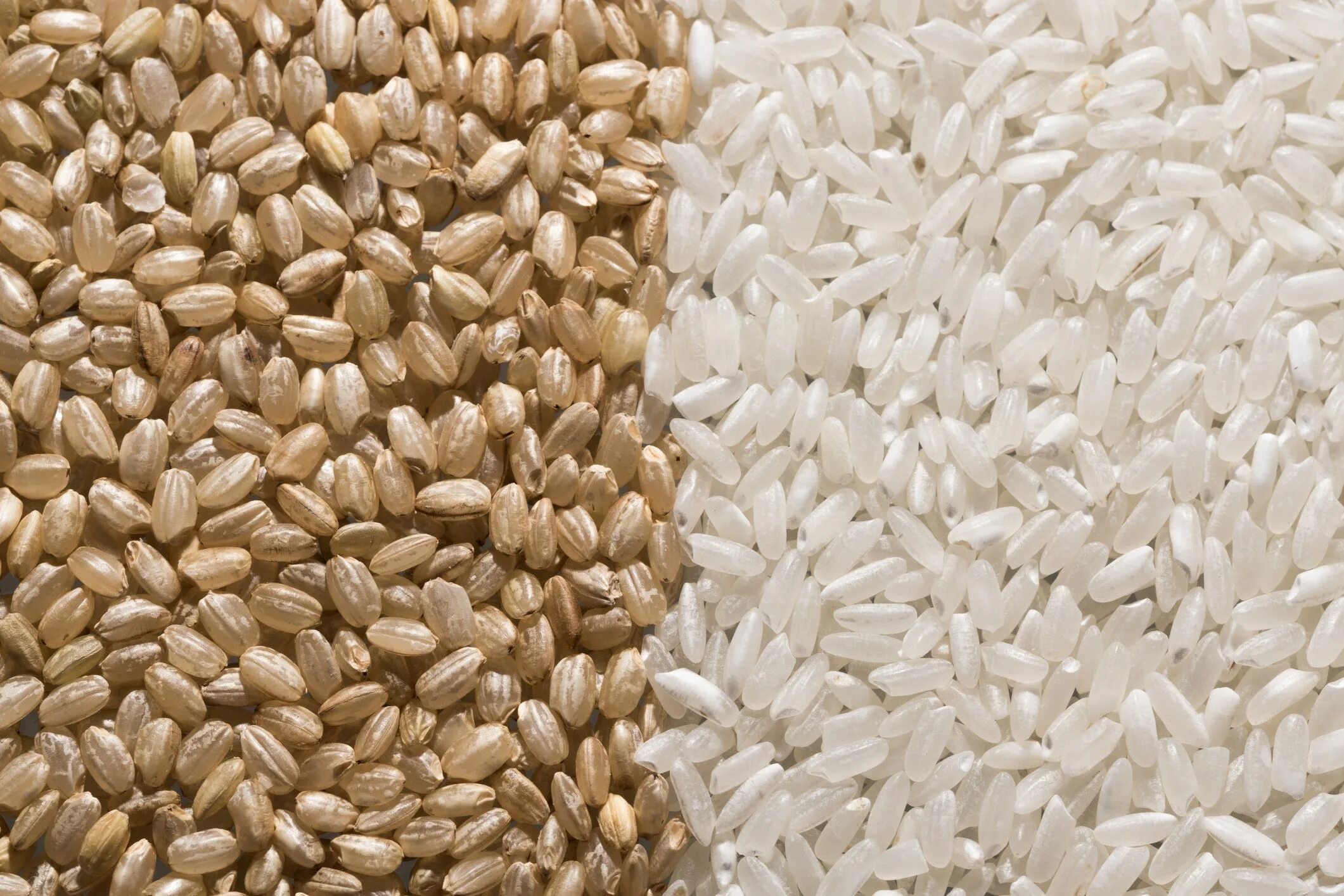 White rice. Rice Rice. And. Brown Rice. Healthy Grain рис. Воздушный рис(Air Rice). Brown Rice and White Rice.