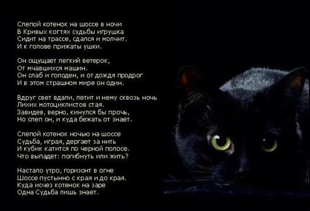 Кошка грустная песня. Стих про черного кота. Стих про черного котика. Стих про кошку. Стих про черную кошку.