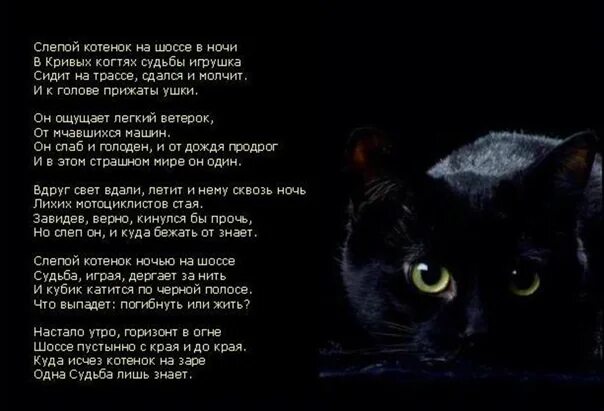 Песни которые любят коты