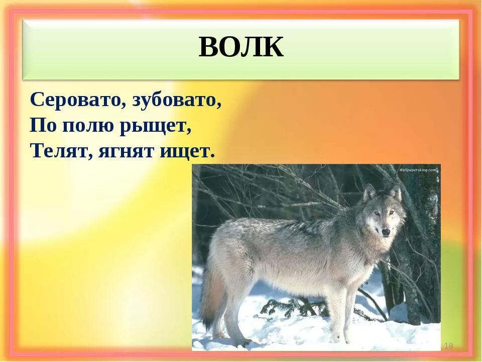 Загадка про волка. Загадки для детей про Аолеа. Загадка про волка для детей. Загадка для детей проволка. Волков 3 класс тесты