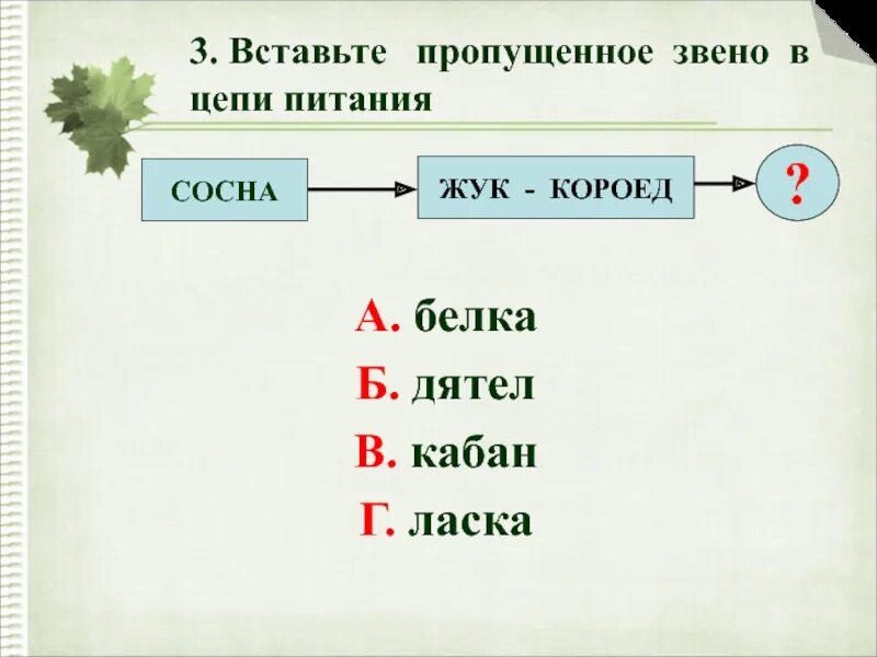 Цепь питания сосны. Пищевая сеть соснового леса. Пищевая цепочка с жуком короедом. Сосна дятел жук короед цепь питания правильно или нет. Цепь питания в лесу.