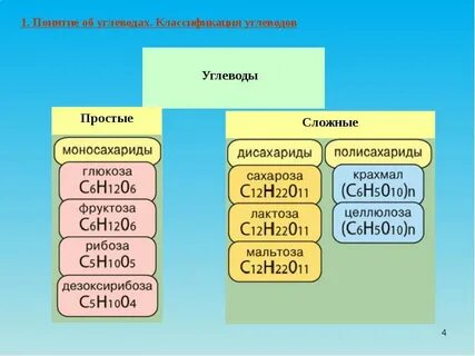 Представители химии