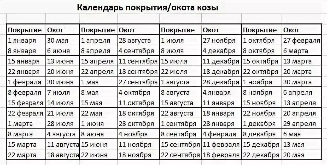 Через сколько после окота можно. Таблица окотов коз и покрытий. таблица окота кос. таблица окота коз от даты покрытия. таблица беременности коз.