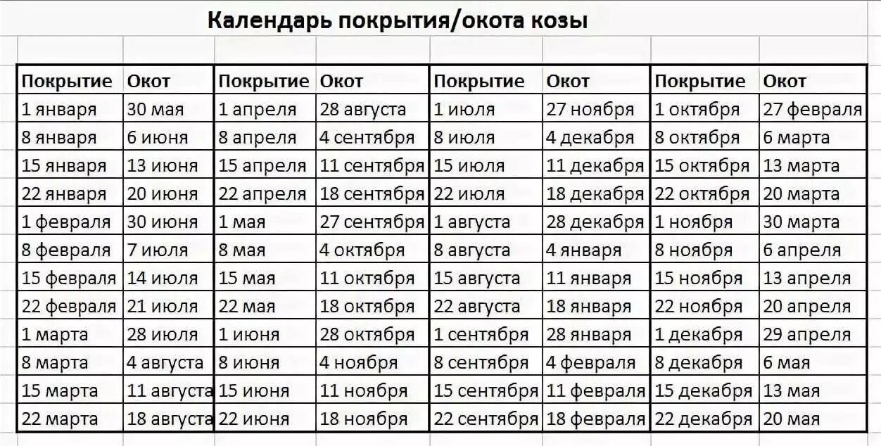 Таблица окотов у коз. Таблица окота коз от даты покрытия. Таблица беременности коз. Календарь беременности коз таблица.