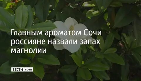 Главный запах