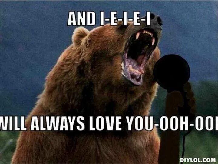 I will you born. Always love you мем. i will always. memes with bears. cant bear.