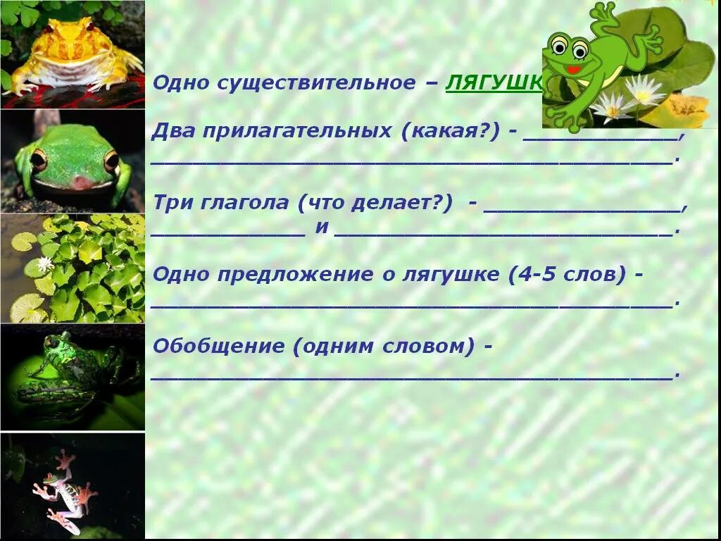 Прилагательные про лягушку. Предложение со словом лягушка. Предложение слова лягушка. Особенности жизнедеятельности лягушек. Как разделить слово лягушка