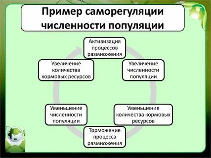 Лабораторная работа номер 1 механизмы саморегуляции
