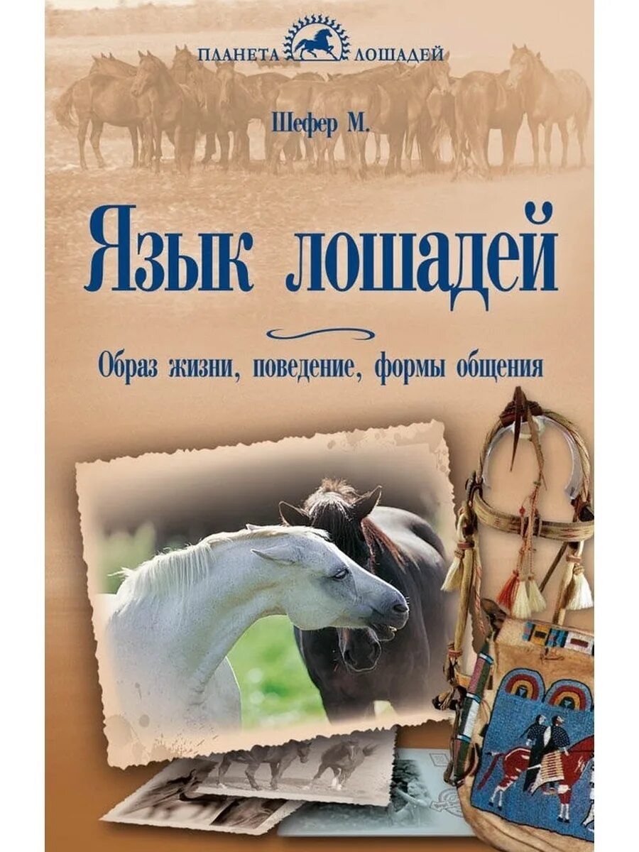 Михаэль Шефер язык лошадей. Психология лошади книга. Поведение лошадей книга. Языков конь читать.