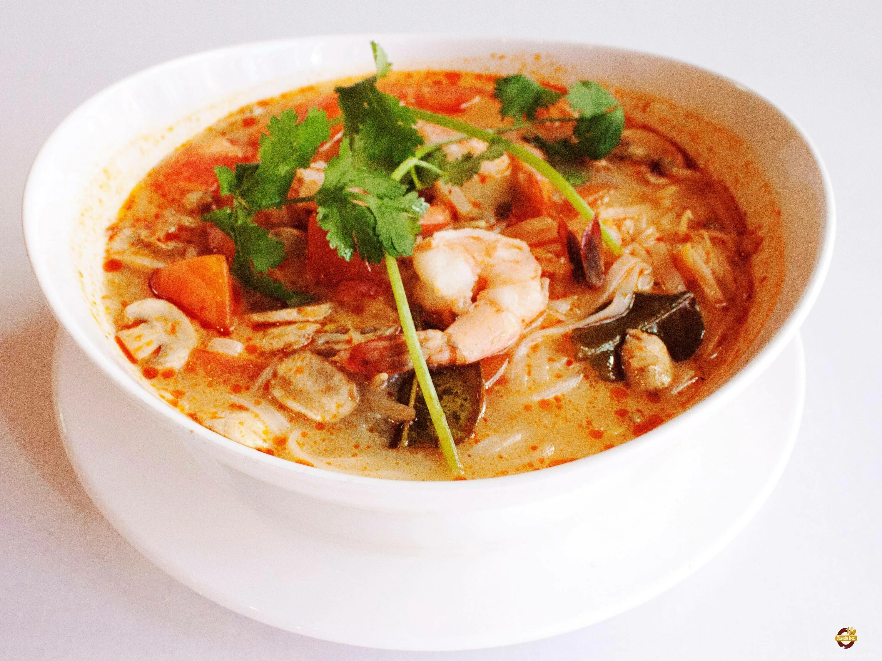 Tom Yum суп. Тайский суп том ям с креветками. Суп Tom Yum (том ям). Том ям кунг (Tom Yum Kung).