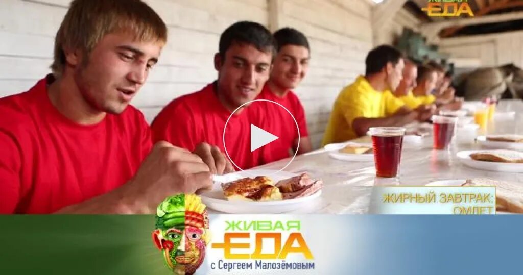 Живая еда с сергеем малозёмовым последний выпуск. Живая еда с сергеем малозёмовым. Передача живая еда с сергеем малоземовым. Живая еда с сергеем малоземовым сегодняшний. Живая еда с сергеем малозёмовым последний выпуск.