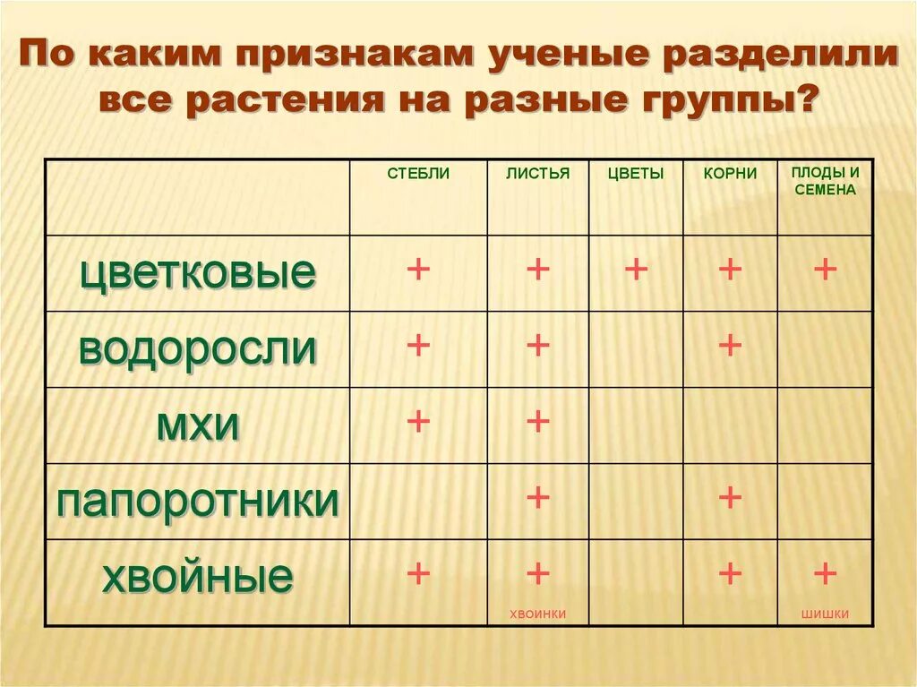 Таблица разнообразие растений. Разнообразие растений таблица 3 класс. Признаки групп растений. Таблица по окружающему миру 3 класс разнообразие растений.