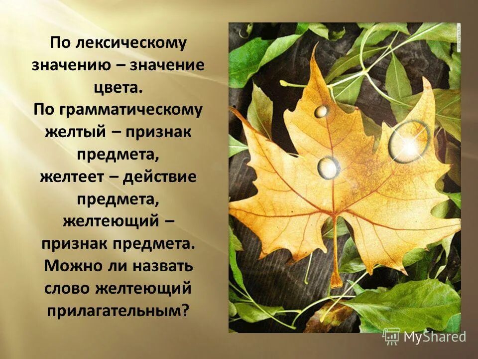 Влияние желтого цвета на человека. Что символизирует желтый цвет. Влияние желтого цвета. Светофор для детей. Лексическое значение слова желтый 3 класс.
