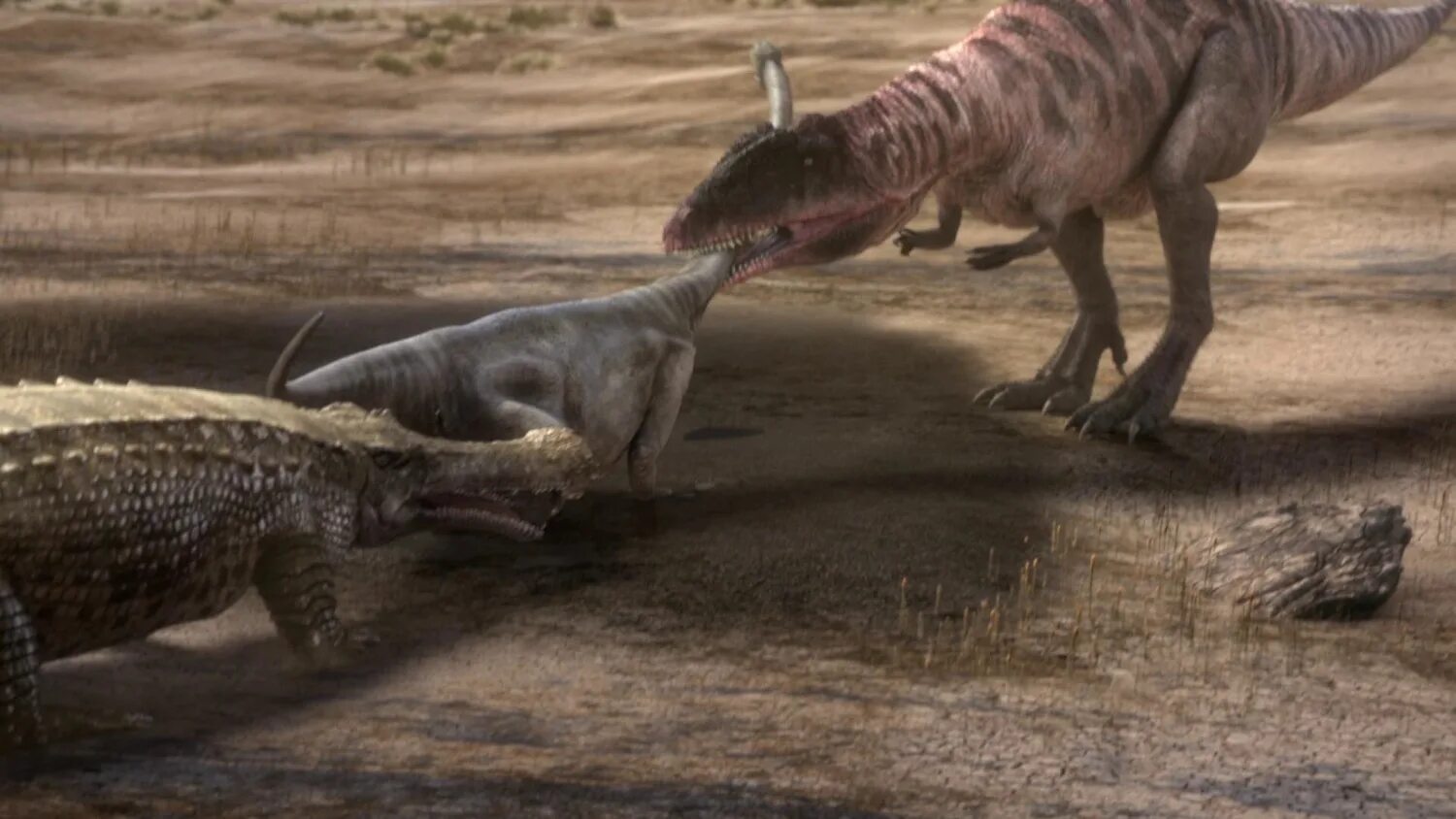 5 серию динозавра. Планета динозавров bbc 2011. Спинозавр Планета динозавров. Кархародонтозавр Планета динозавров. Планета динозавров / Planet Dinosaur 2011.