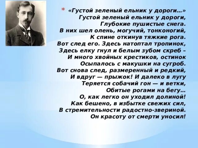 Густой зелёный ельник у дороги Бунин. Густой ельник у дороги Бунин. Зелёный ельник у дороги Бунин. Густой зелёный ельник у дороги Бунин стихотворение.