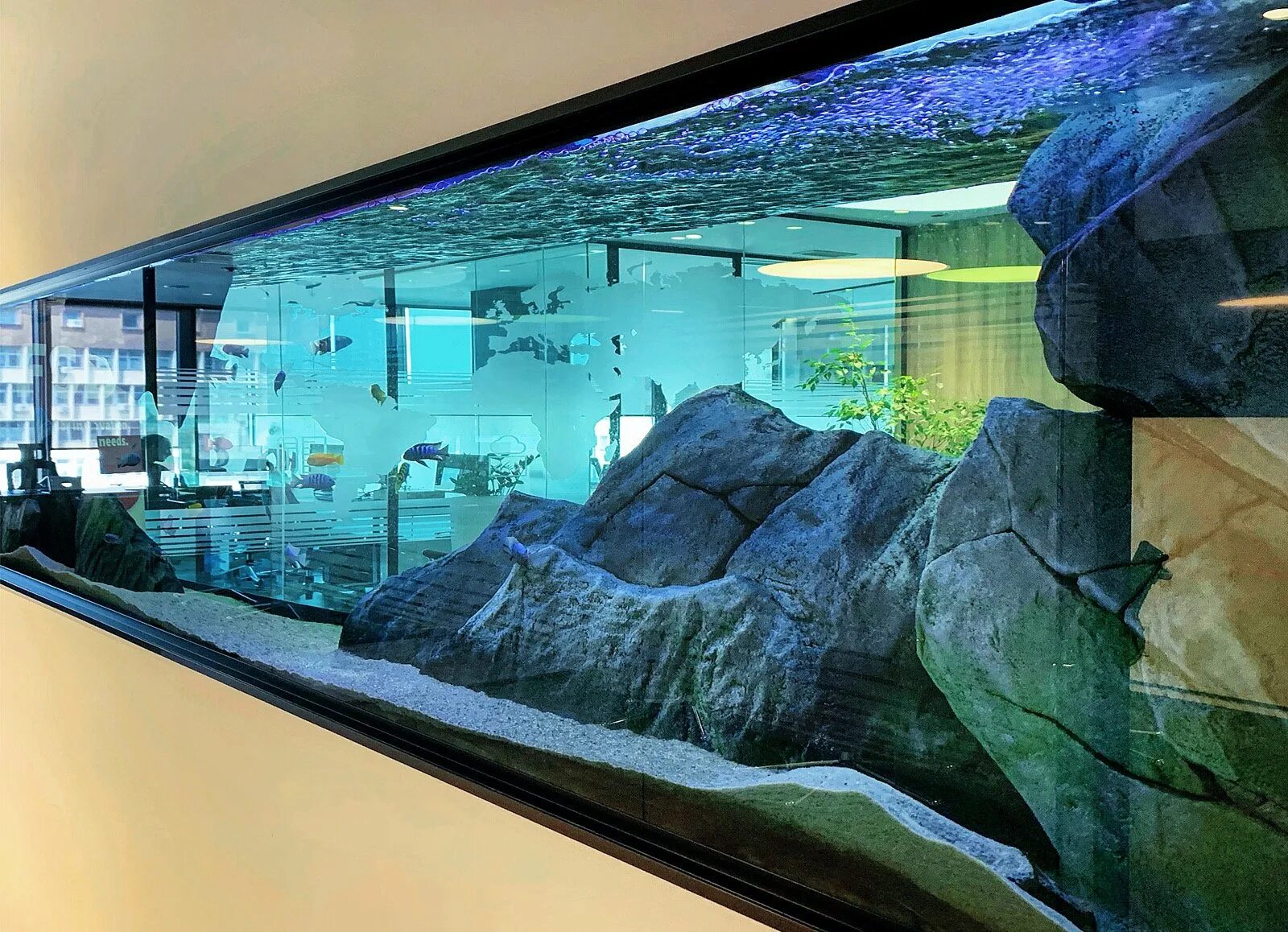 Аквариум (Fish Tank) 2009. Современный аквариум. Аквариум в стене. Морской аквариум в стене. Aquarium 3