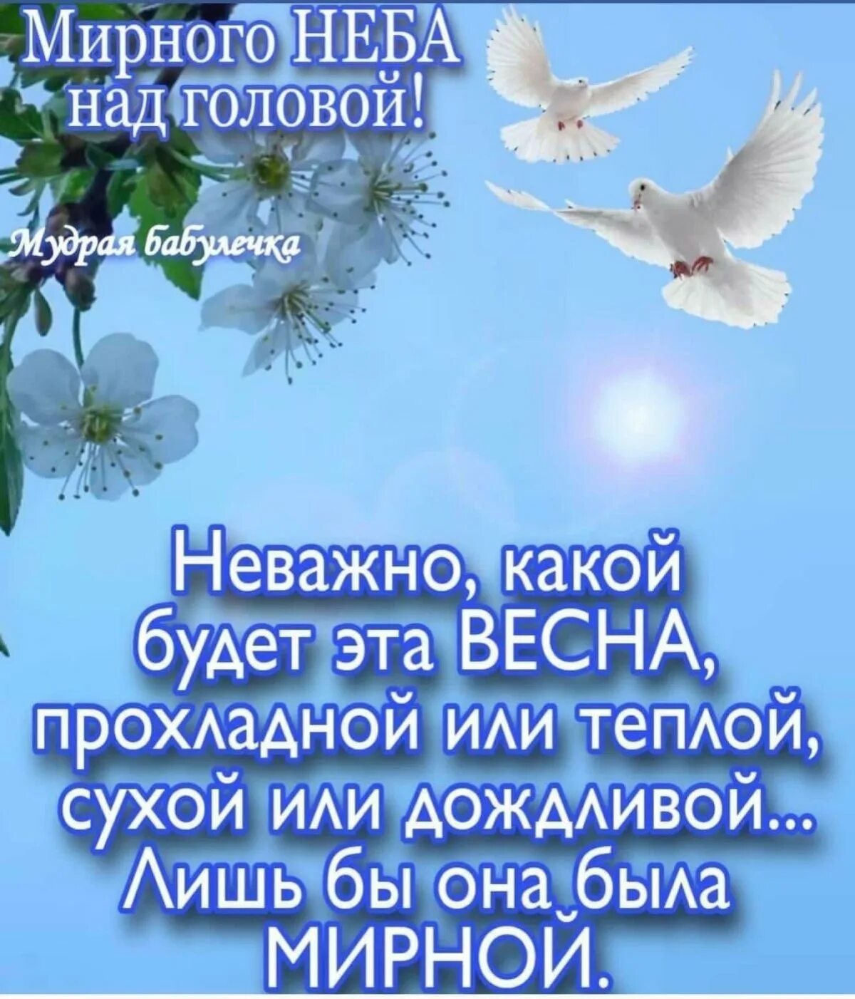 Мирного не.а надо головой. Мирное небо. Мирного неба над головой. Мирногогеба над головой. Открытки добро мирного дня