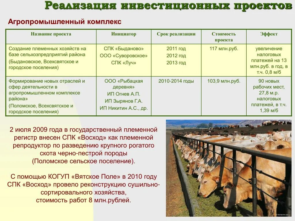 Крупнейшие апк россии. Агропромышленный комплекс проект. Агропромышленный комплекс название. Инвестиционные проекты в АПК. Реализация агропромышленный комплекс.