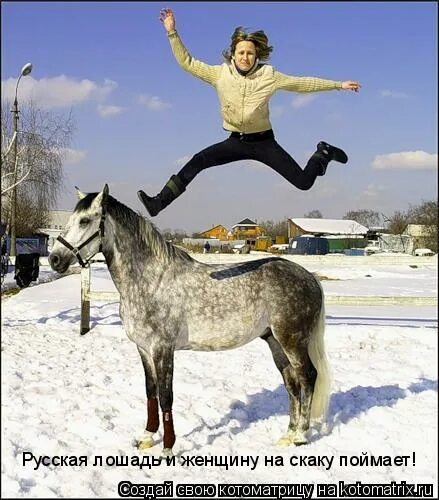 Бегаю как савраска. Бегаю как савраска. Баба коня на скаку. Лошадь савраска. Лошадь савраска.