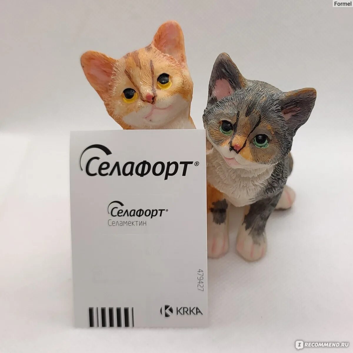 Селафорт для кошек 5 кг